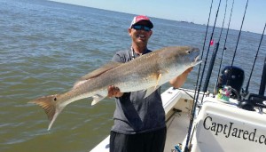 Tampa Fishing Charter Guide