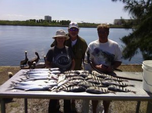 tampa fishing charter guide