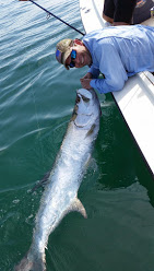 tarpon fishing tampa