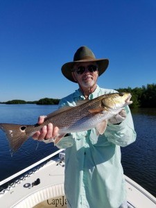 CLearwater inshore fishing