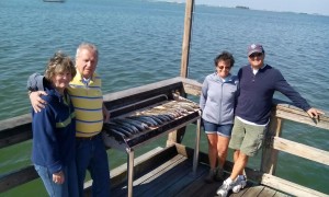 tampa clearwater fishing charters