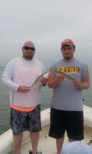 tampa clearwater fishing charter