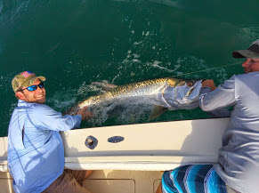Tampa tarpon fishing charter