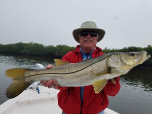 Jerrys big snook caught with clearwater beach fishing captain Jared