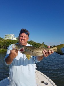 Palm harbor snook fishing charter