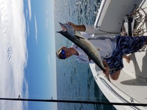 clearwater beach charter guide