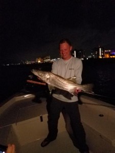 snook fly fishing charters in clearwater beach st.pete